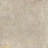 Arezzo taupe